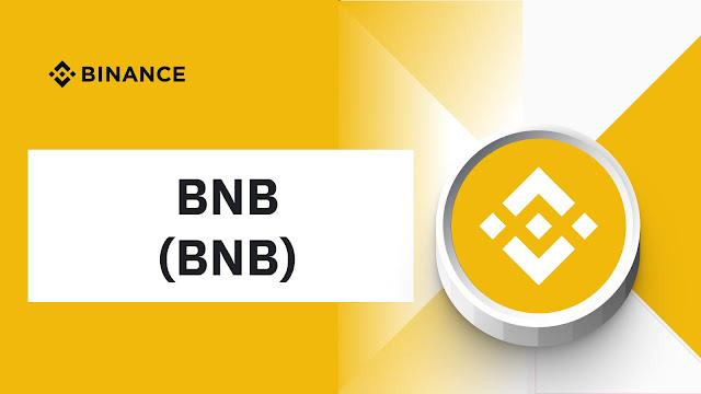 Binance Coin (BNB) cho thấy những dấu hiệu tăng trưởng đầy hứa hẹn