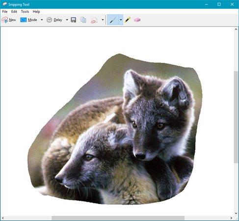 Snipping Tool là gì? Cách sử dụng Snipping Tool trên máy tính